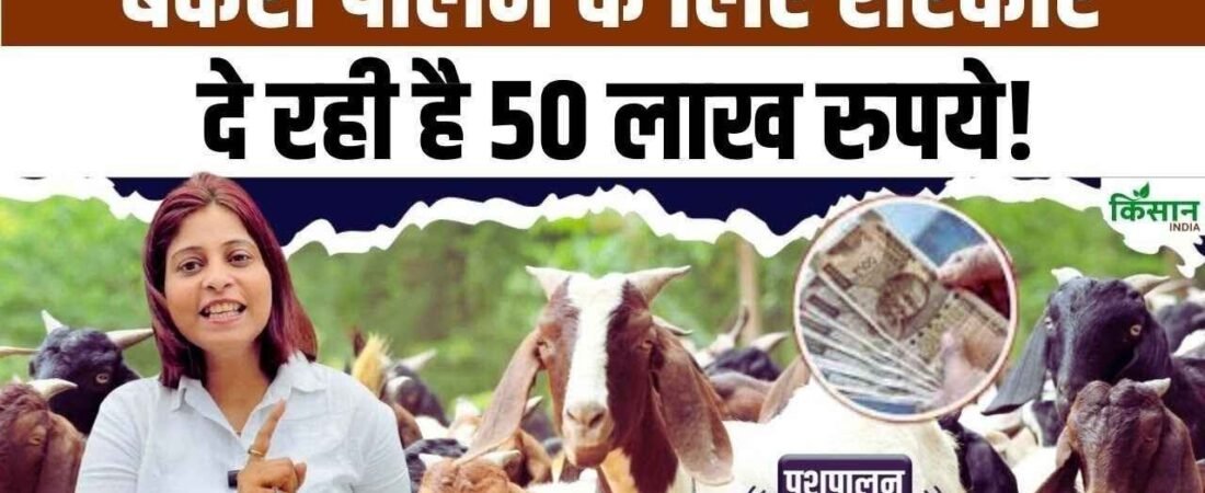 Goat Farming Subsidy Scheme 2026: अपने 2026 बकरी फार्म के सपने को साकार करें, 90% तक की सब्सिडी प्राप्त करें
