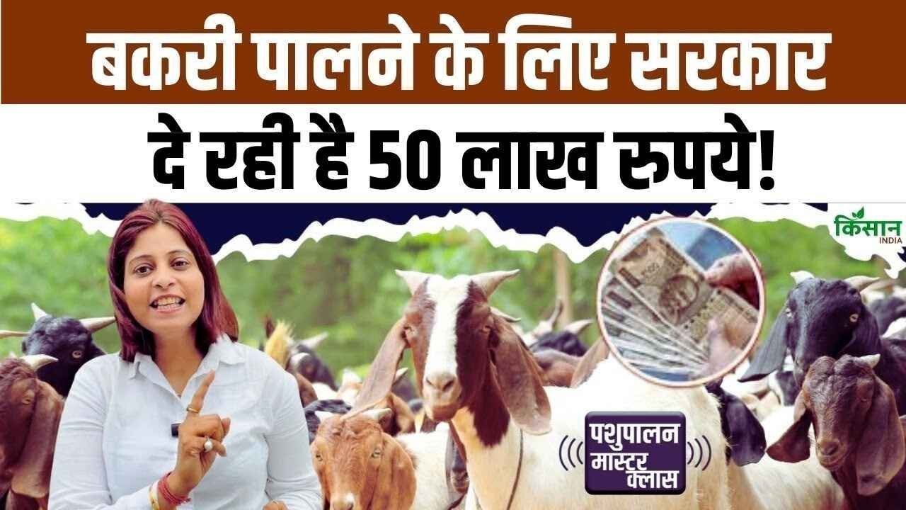Goat Farming Subsidy Scheme 2026: अपने 2026 बकरी फार्म के सपने को साकार करें, 90% तक की सब्सिडी प्राप्त करें