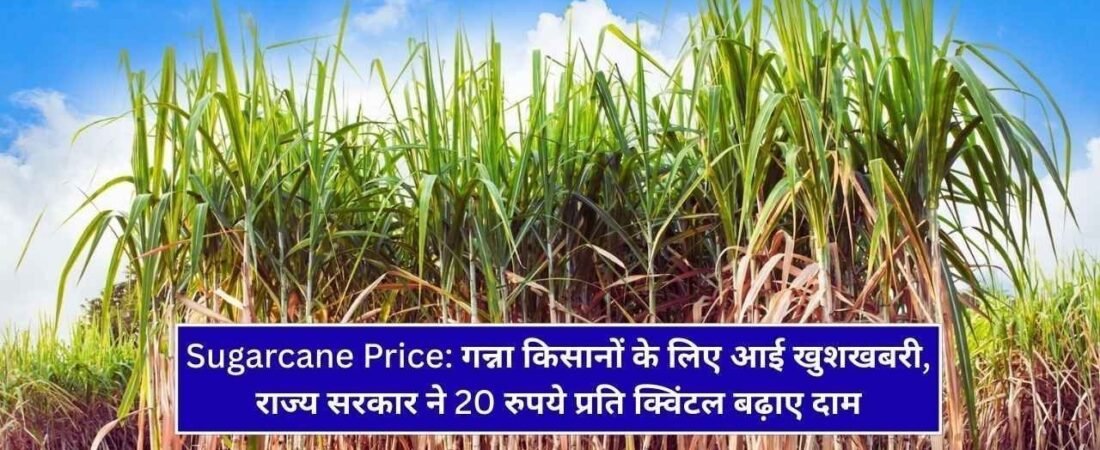 caneup in : गन्ना किसानों के लिए आई खुशखबरी, राज्य सरकार ने 20 रुपये प्रति क्विंटल बढ़ाए दाम