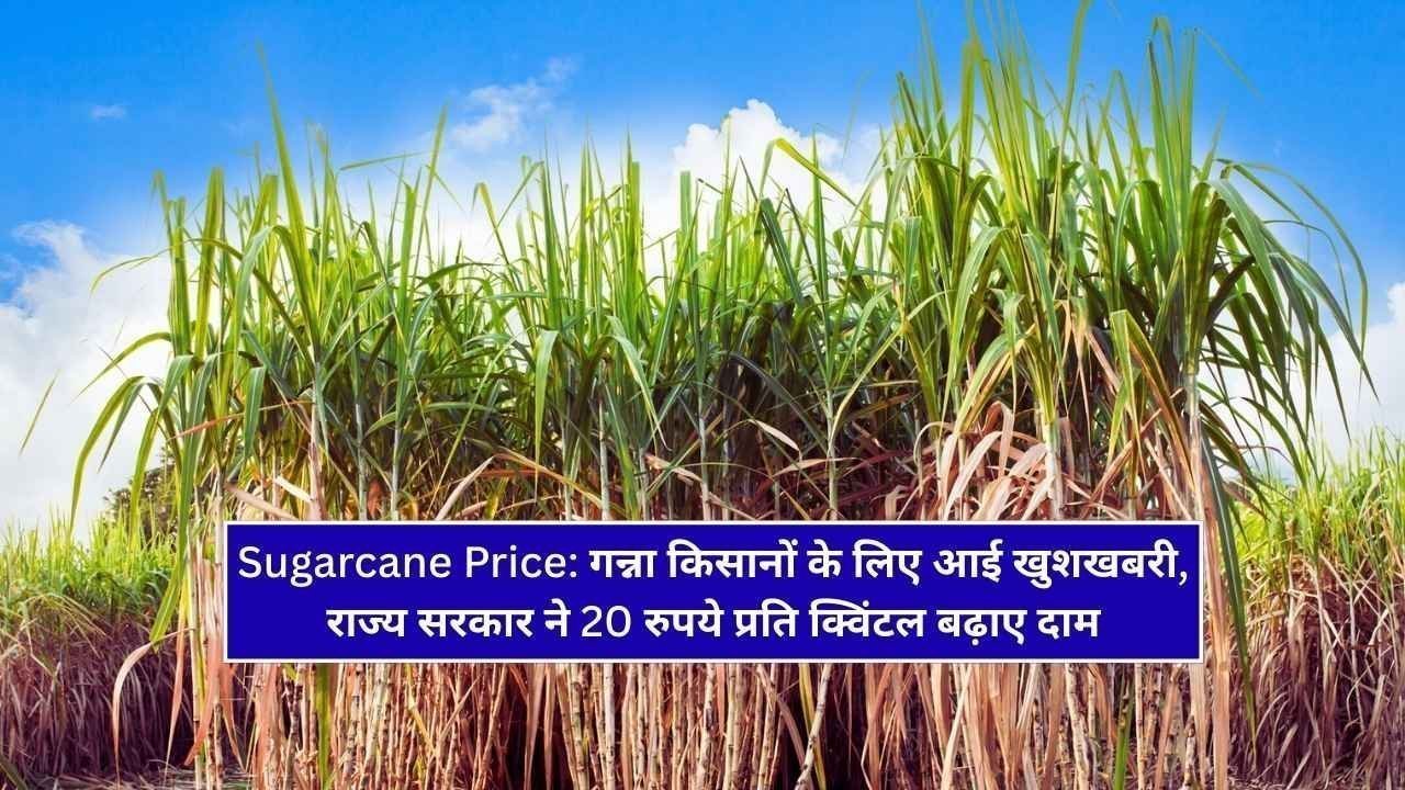caneup in : गन्ना किसानों के लिए आई खुशखबरी, राज्य सरकार ने 20 रुपये प्रति क्विंटल बढ़ाए दाम